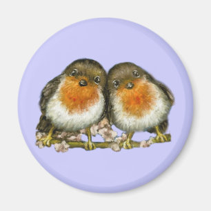 Íman dois robins