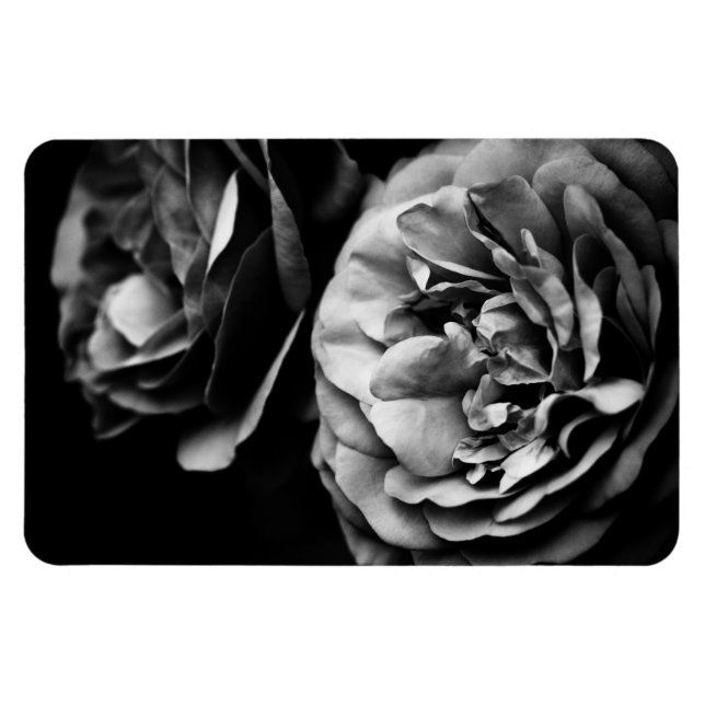 Íman dois rosas (Horizontal)
