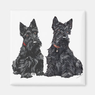 Íman Dois Scottish Terriers Pretos
