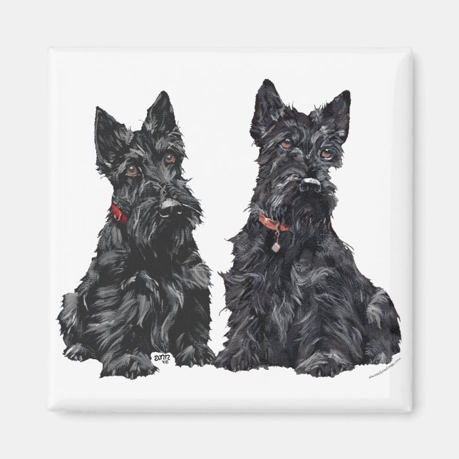 Íman Dois Scottish Terriers Pretos (Frente)