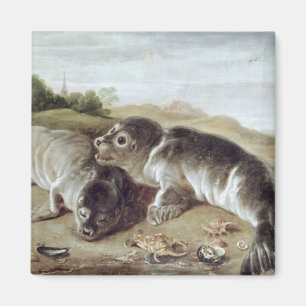 Íman Dois selos novos na costa, c.1650