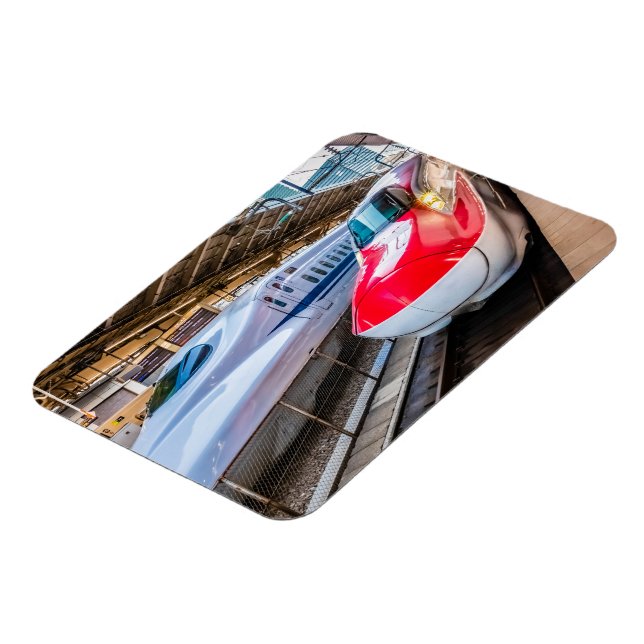 Íman Dois Shinkansen na Estação de Tóquio (Left Side)