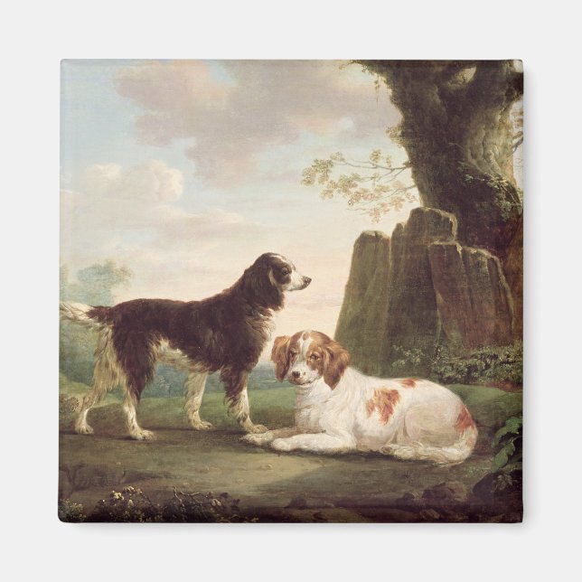 Íman Dois spaniels numa paisagem (Frente)