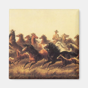 Íman Domando Cavalos Selvagens por James Walker