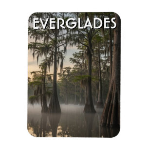 Íman Dome de Cipreste Everglades Parque Nacional Flórid