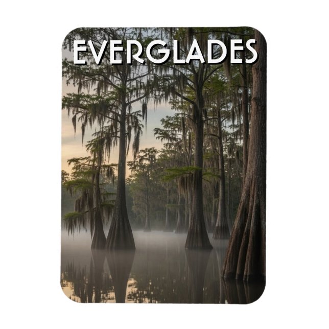 Íman Dome de Cipreste Everglades Parque Nacional Flórid (Vertical)