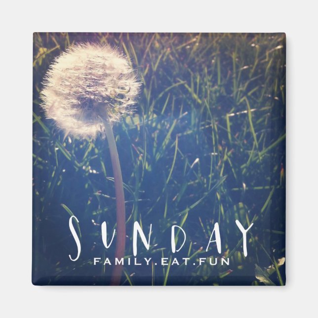 Íman Domingo Família coma diversão (Frente)