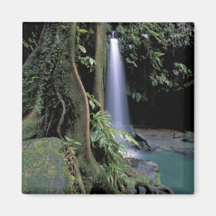 Íman Dominica, Lago Esmeralda, Cachoeira.
