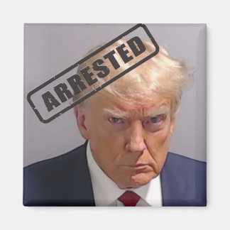 Íman Donald Trump "Preso" Magnet de Mugshot