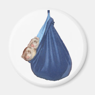 Íman Doninhas no ímã do saco de sono de A