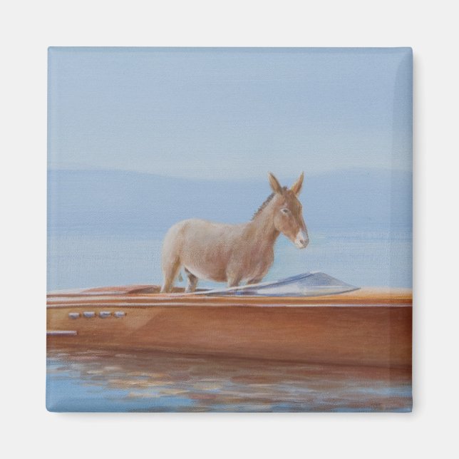 Íman Donkey em uma Riva 2010 (Frente)
