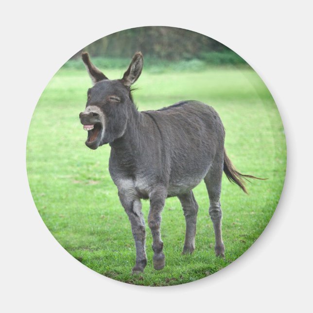 Íman Donkey Laugh Magnet (Frente)