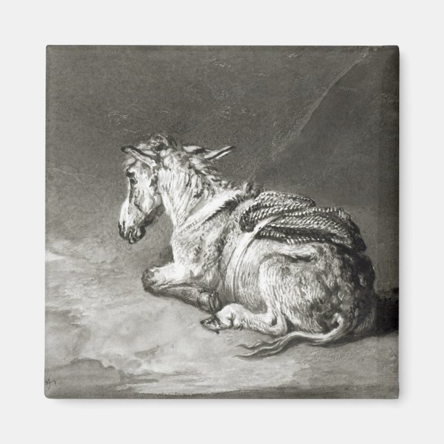 Íman Donkey no Resto (Frente)