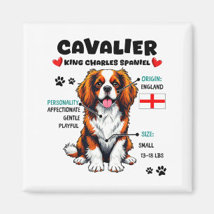 Íman Dono de Cavalier King Charles Spaniel Amor por Cac