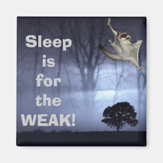 Íman Dormir é para o WEAK!