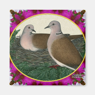 Íman Dove Nest e Flores
