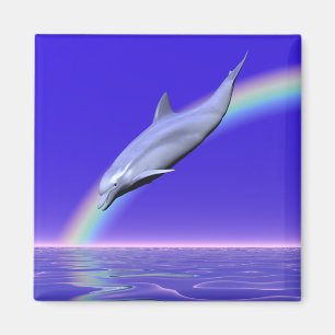 Íman Download do Dolphin