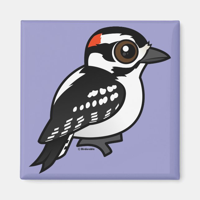 Íman Downy Woodpecker (Frente)