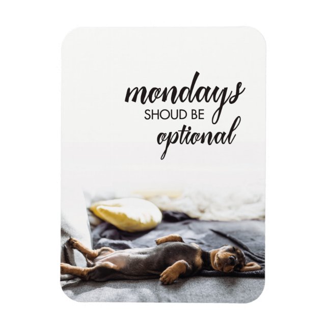 Íman Dóxi dormindo As segundas-feiras devem ser opciona (Vertical)