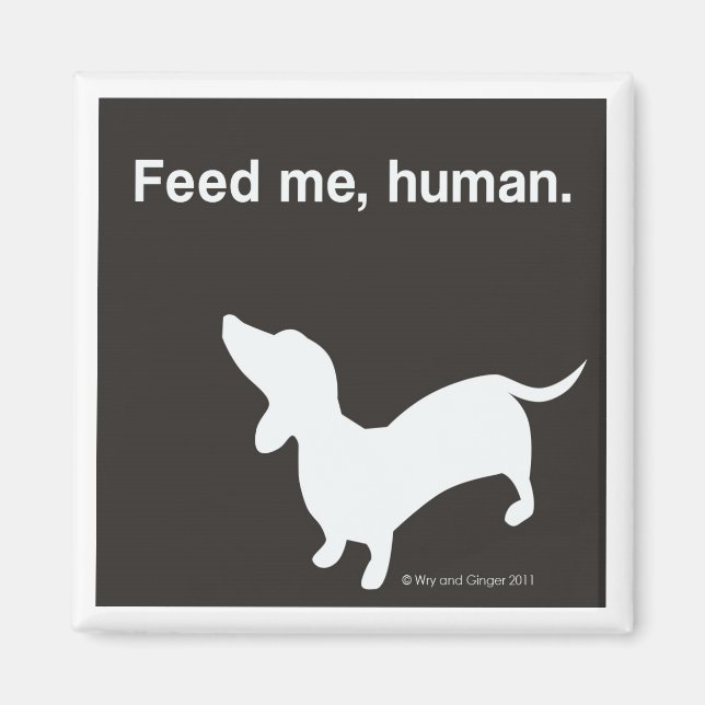 Íman Doxie Feed Me Magnet Black (Frente)
