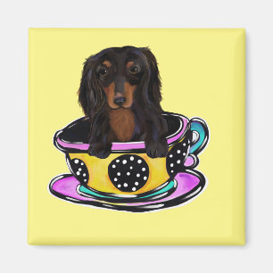 Íman Doxie Preto de Cabelo Comprido