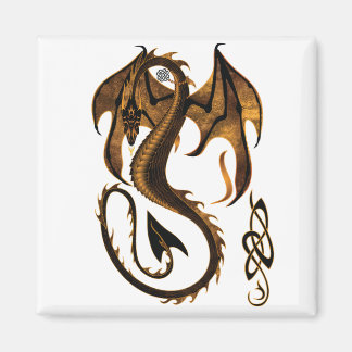 Íman dragão