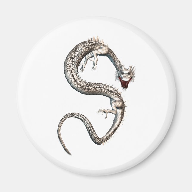 Íman Dragão Branco (Frente)
