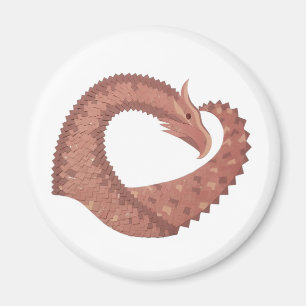 Íman Dragão-coração castanho em branco