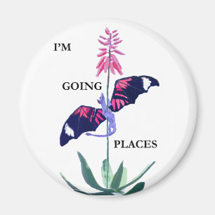 Íman Dragão e cacto