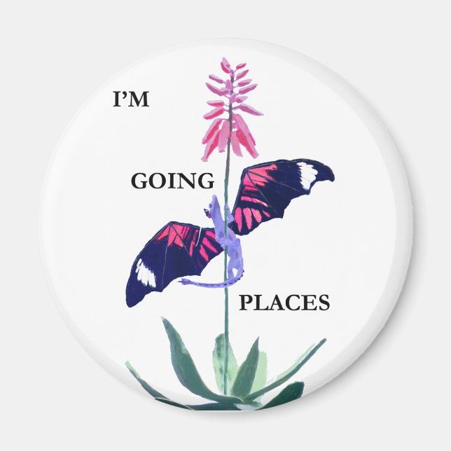 Íman Dragão e Cactus (Frente)