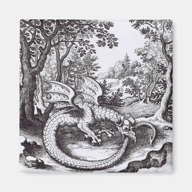 Íman Dragão na Floresta (Frente)