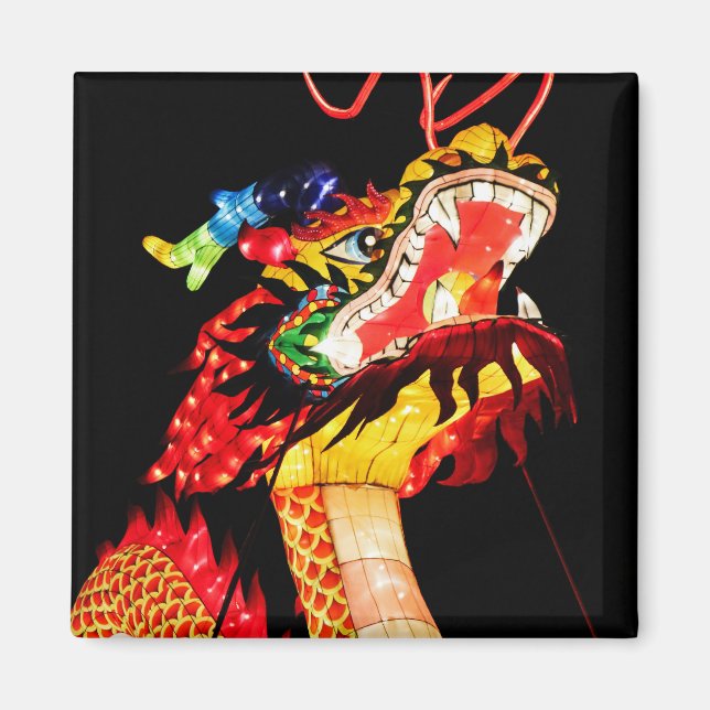 Íman Dragão Tianlong (Frente)