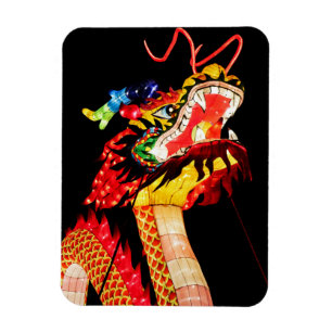Íman Dragão Tianlong