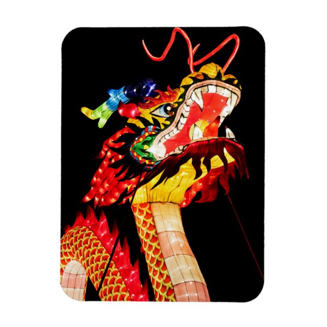 Íman Dragão Tianlong (Vertical)