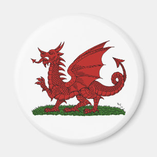 Íman Dragão Vermelho do País de Gales