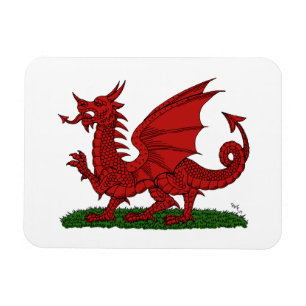 Íman Dragão Vermelho do País de Gales