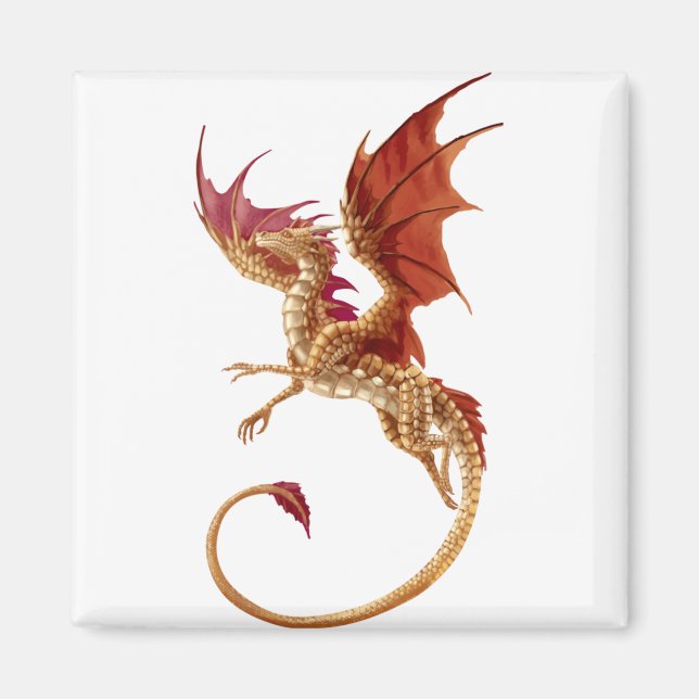Íman dragão voador (Frente)