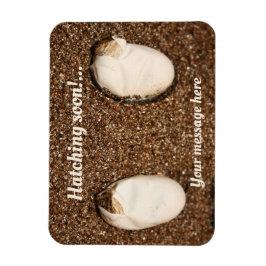 Íman Dragões Carninhos Atacando!