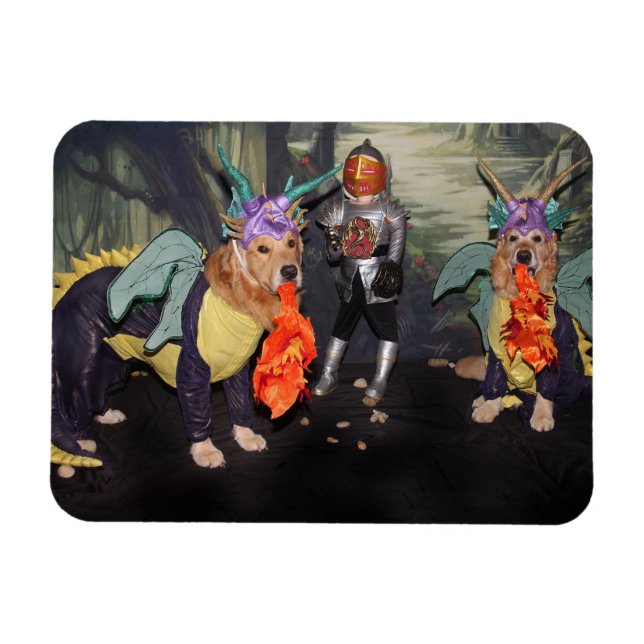 Íman Dragões de Proteção contra Incêndios de Retriever  (Horizontal)