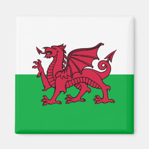 Íman Dragon Flag of Wales, Celtic Welsh National Flag