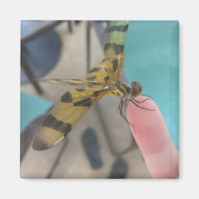 Íman Dragon Fly (Frente)