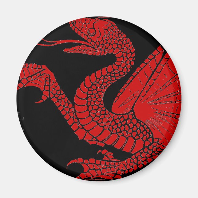 Íman Dragon Magnet (Frente)