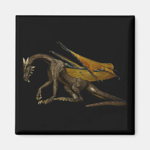 Íman Dragon Magnet