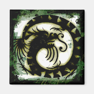 Íman Dragon Magnet