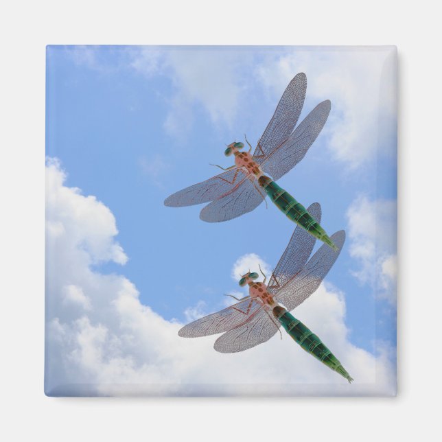 Íman Dragonflies Blue Sky Clouds Nature Magnet (Frente)