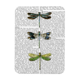 Íman Dragonflies Impressão 3