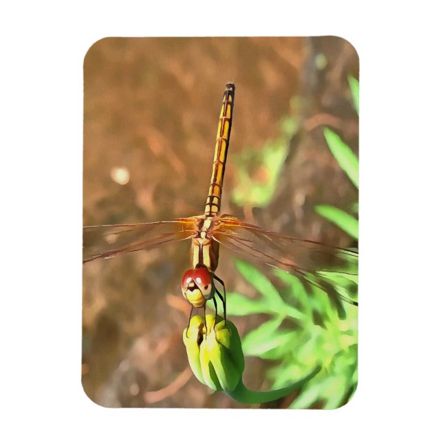 Íman Dragonfly Artística Descendo Na Cabeça Da Flor (Vertical)