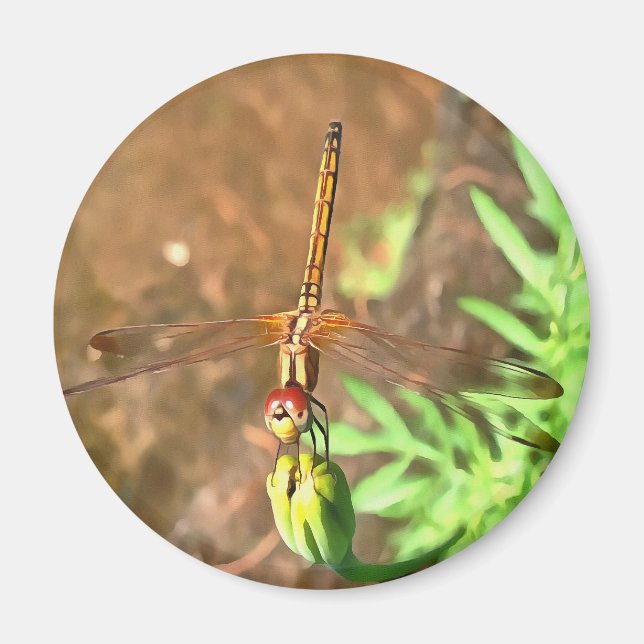 Íman Dragonfly Artística Descendo Na Cabeça Da Flor (Frente)