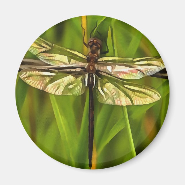Íman Dragonfly Artística Em Castanho E Amarelo Em Verde (Frente)