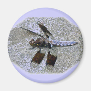 Íman Dragonfly Azul